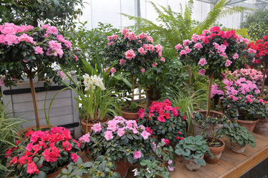 Similar image 12348801