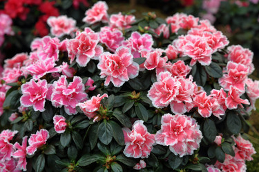 Similar image 12348827