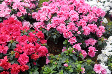 Similar image 12348828