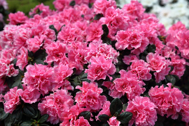 Similar image 12348830