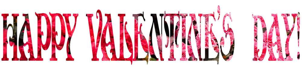 Similar image 12348769