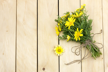 Similar image 12222866