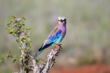 Similar image 12347163