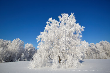 Similar image 12254580