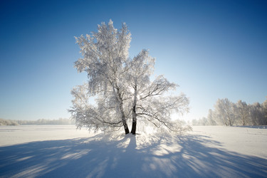 Similar image 12254581