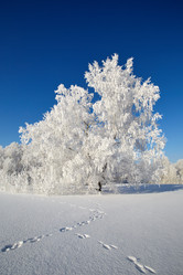 Similar image 12254582