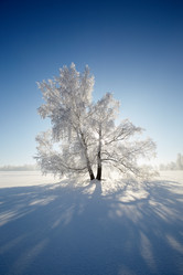 Similar image 12254583