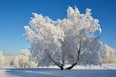 Similar image 12254585