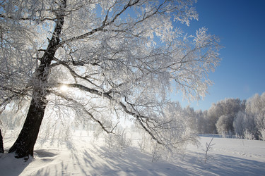 Similar image 12254586