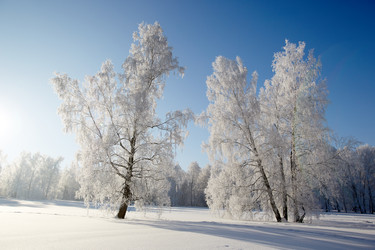 Similar image 12254587