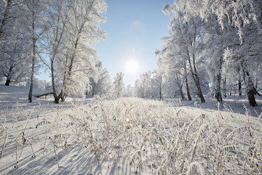 Similar image 12254588