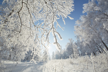 Similar image 12254589