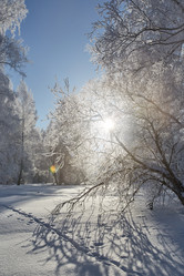 Similar image 12254590