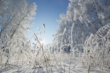 Similar image 12254591