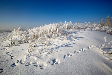 Similar image 12254592