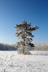 Similar image 12254615