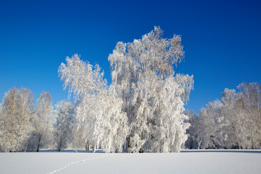 Similar image 12254616