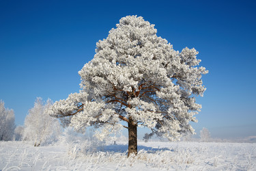 Similar image 12254617