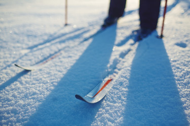 Similar image 12345567