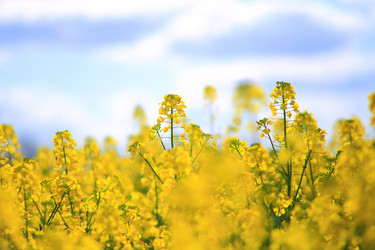 Similar image 12223148