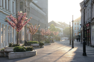 Similar image 12224794