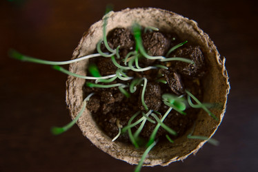 Similar image 12224901