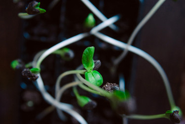 Similar image 12224902