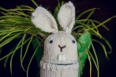 Similar image 12224921