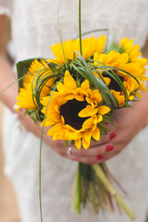 Similar image 12348637