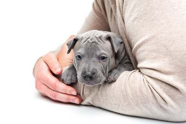 Similar image 12254247