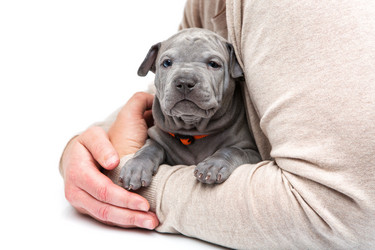 Similar image 12254248