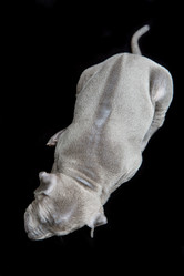 Similar image 12254304