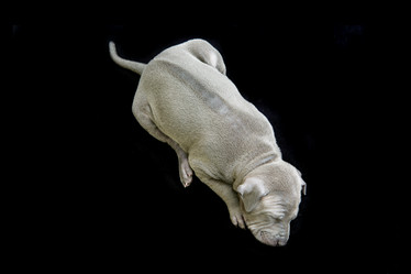 Similar image 12254305