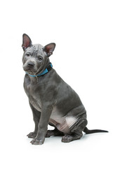 Similar image 12254308