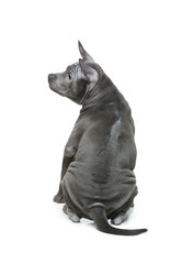 Similar image 12254322