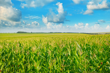 Similar image 12222513