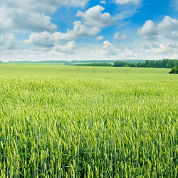 Similar image 12222516