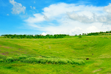 Similar image 12222545