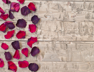 Similar image 12223580