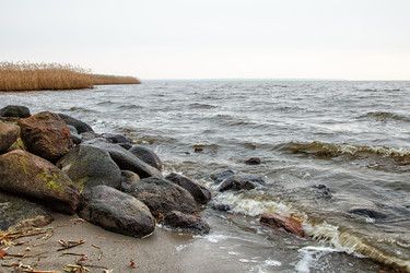 Similar image 12222500