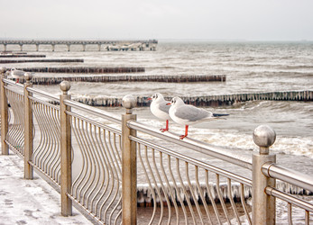 Similar image 12222464