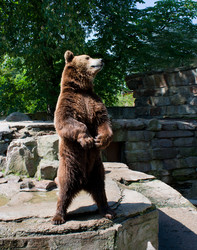 Similar image 12222484