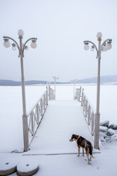 Similar image 12349099