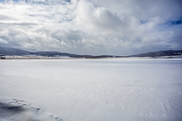 Similar image 12349139