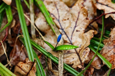 Similar image 12224985