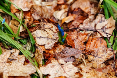 Similar image 12224989