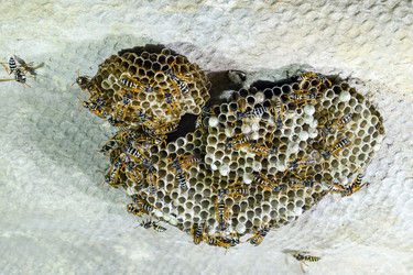 Similar image 12252929