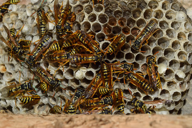 Similar image 12252948