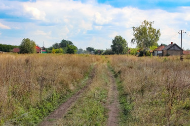 Similar image 12225016