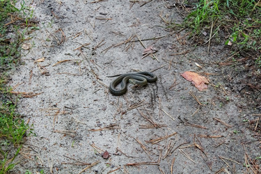 Similar image 12225037